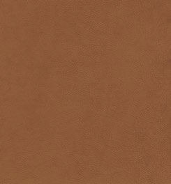 elmotique-43807.jpg